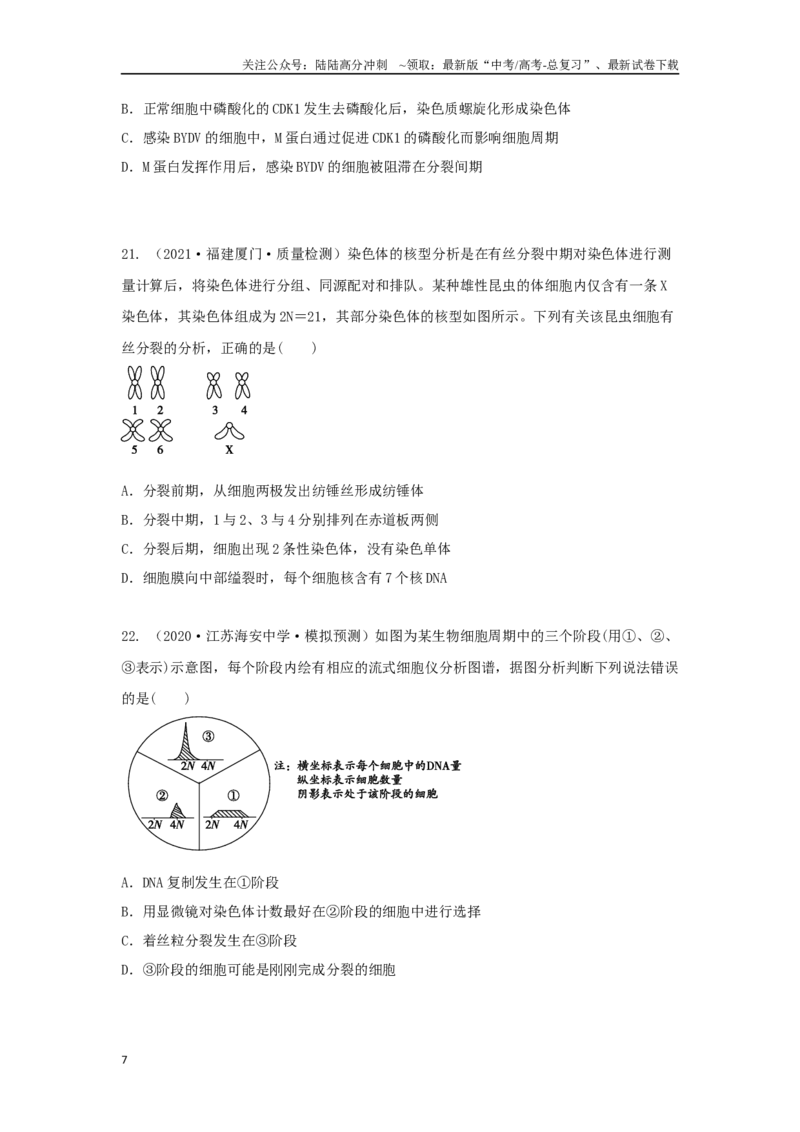 《03细胞的生命历程（单选50）（原卷版）_06-生物-高考总复习_专项复习_2024年_2024年高考生物学总复习高频考点必刷900题高考题_资料》第7页预览