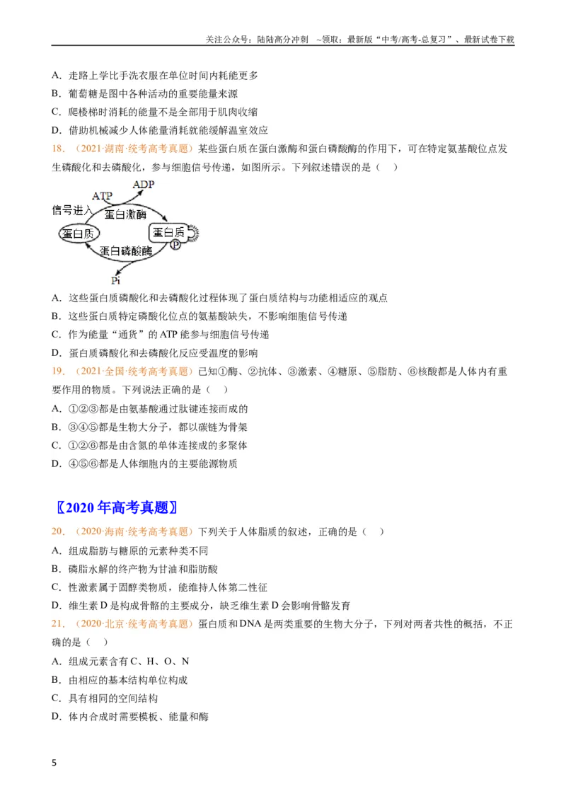 《专题01组成细胞的分子-五年（2019-2023）高考生物真题分项汇编（全国通用）（学生版）_06-生物-高考总复习_专项复习_2024年_2024年高考生物五年真题分项汇编（全国通用）》第5页预览