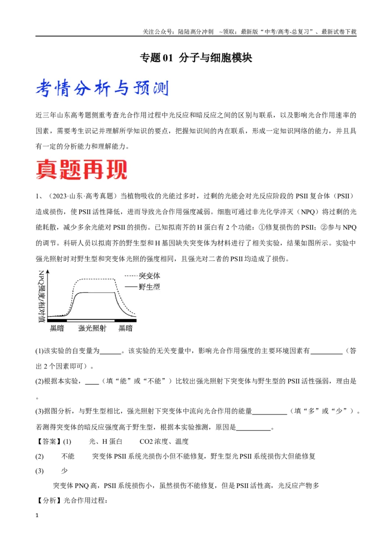 《专题01分子与细胞模块（山东卷）（解析版）_06-生物-高考总复习_专项复习_2024年_2024年高考生物考前大题秒杀技巧及专项训练_资料》第1页预览