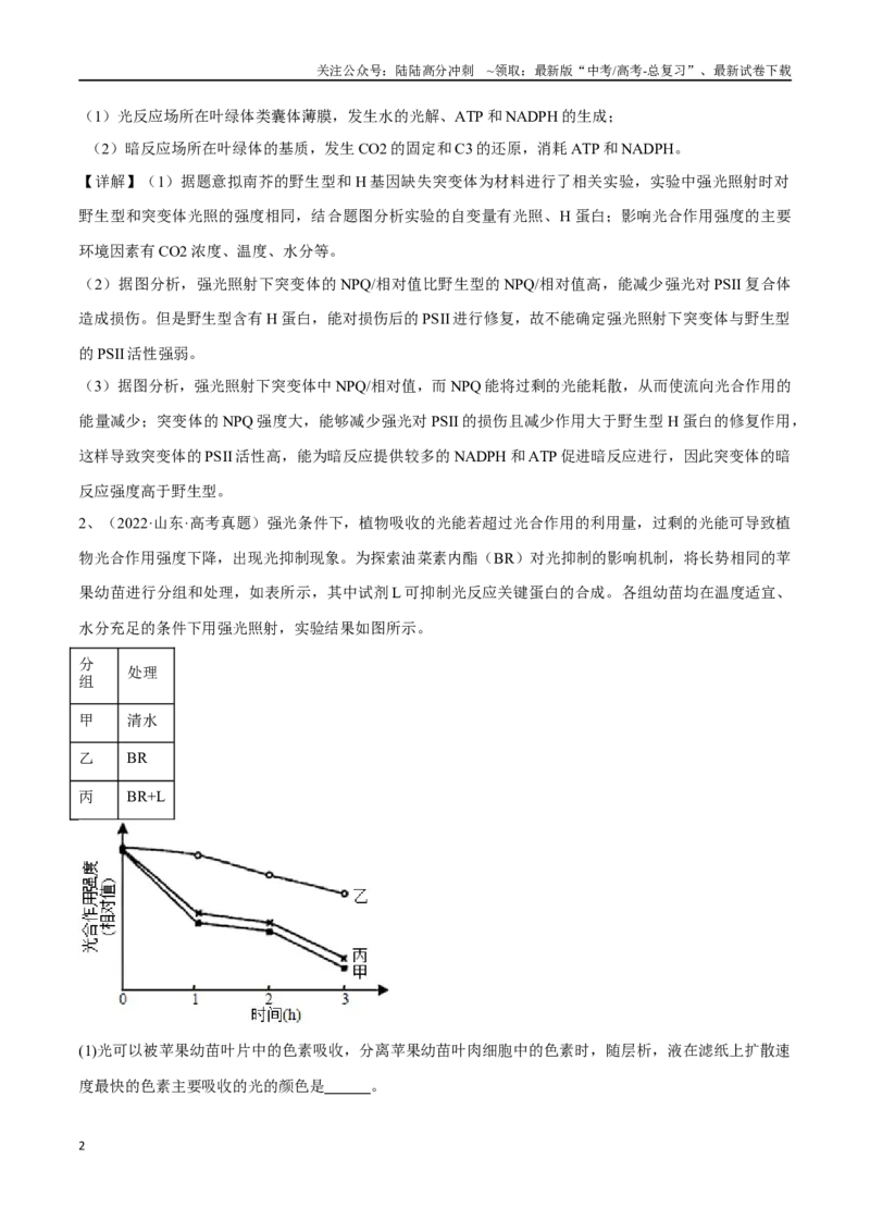 《专题01分子与细胞模块（山东卷）（解析版）_06-生物-高考总复习_专项复习_2024年_2024年高考生物考前大题秒杀技巧及专项训练_资料》第2页预览