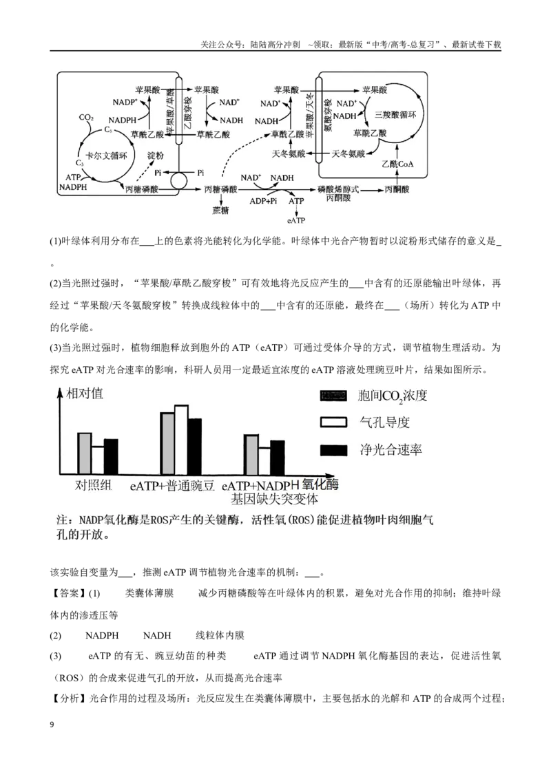 《专题01分子与细胞模块（山东卷）（解析版）_06-生物-高考总复习_专项复习_2024年_2024年高考生物考前大题秒杀技巧及专项训练_资料》第9页预览