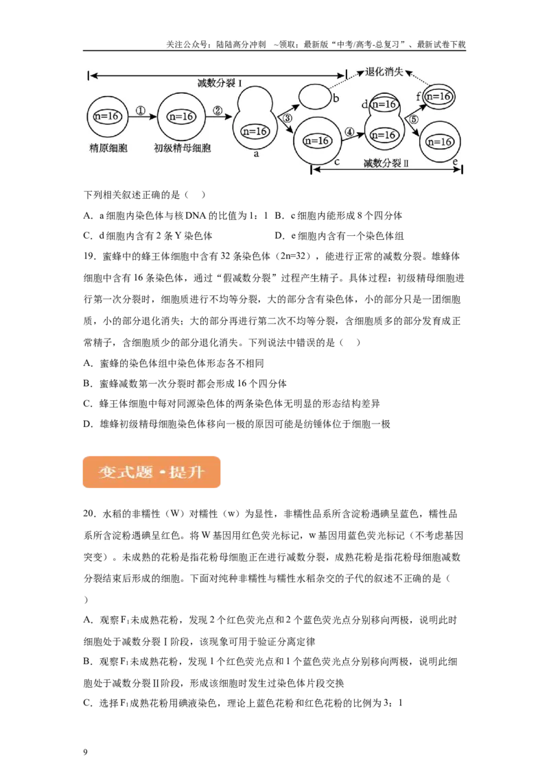 《2024年新课标高考生物真题黑龙江卷变式题13-15_06-生物-高考总复习_专项复习_2024年_2024年生物真题变式题》第9页预览