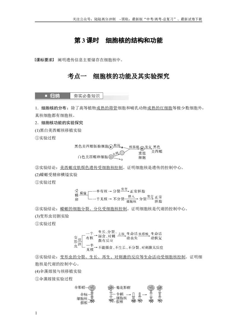 《2024年高考生物一轮复习（新人教版）第2单元　第3课时　细胞核的结构和功能_06-生物-高考总复习_一轮复习_2024年_2024高考生物大一轮复习课件讲义新人教版知识总结_教师版》第1页预览