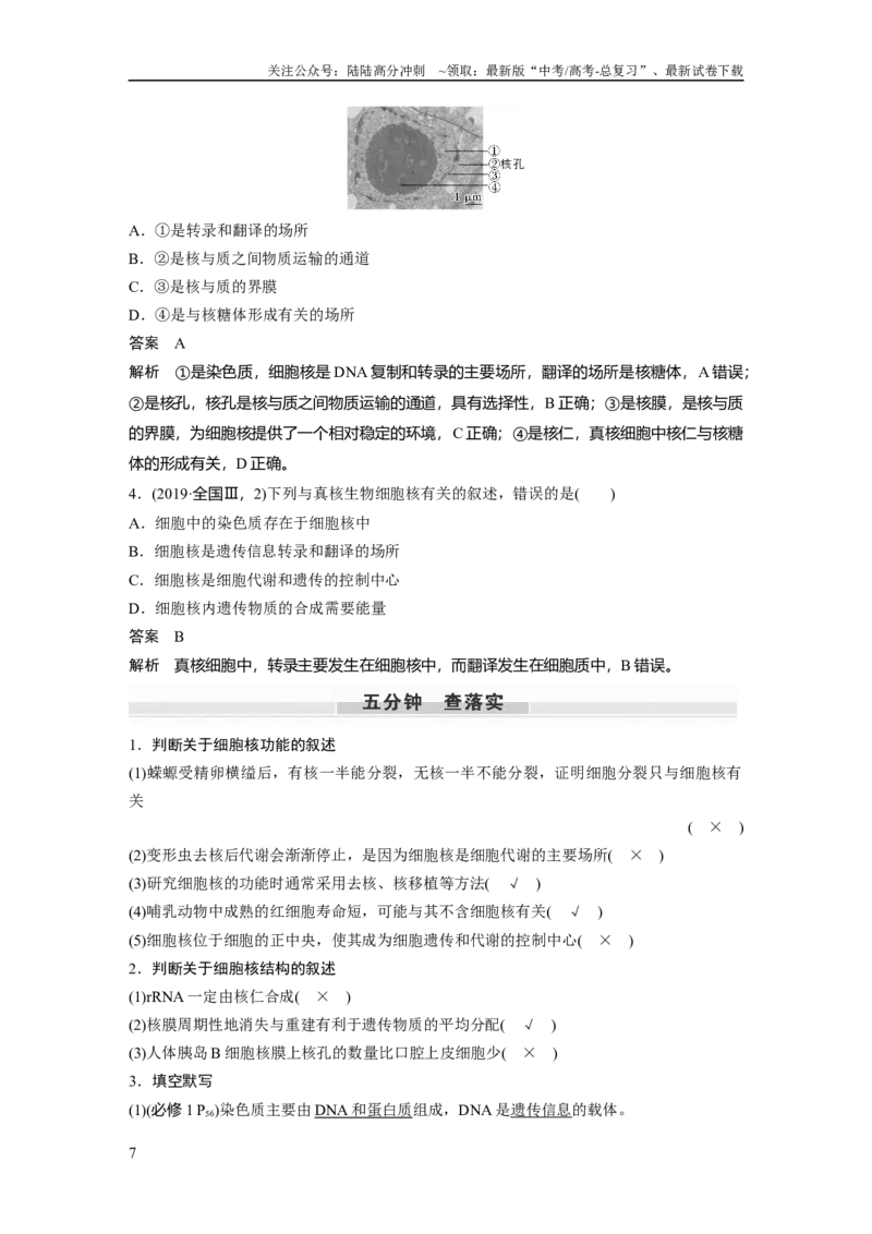 《2024年高考生物一轮复习（新人教版）第2单元　第3课时　细胞核的结构和功能_06-生物-高考总复习_一轮复习_2024年_2024高考生物大一轮复习课件讲义新人教版知识总结_教师版》第7页预览