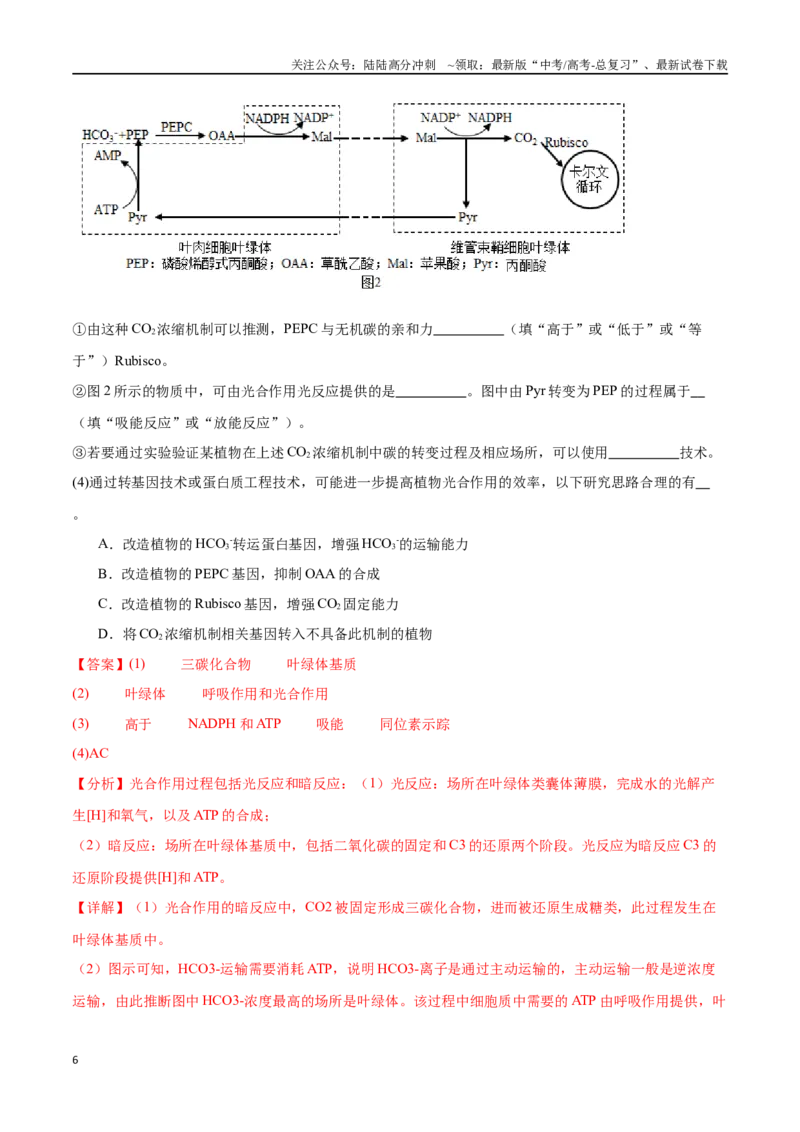 《专题01分子与细胞模块（东北三省通用）（原卷版）_06-生物-高考总复习_专项复习_2024年_2024年高考生物考前大题秒杀技巧及专项训练_资料》第6页预览