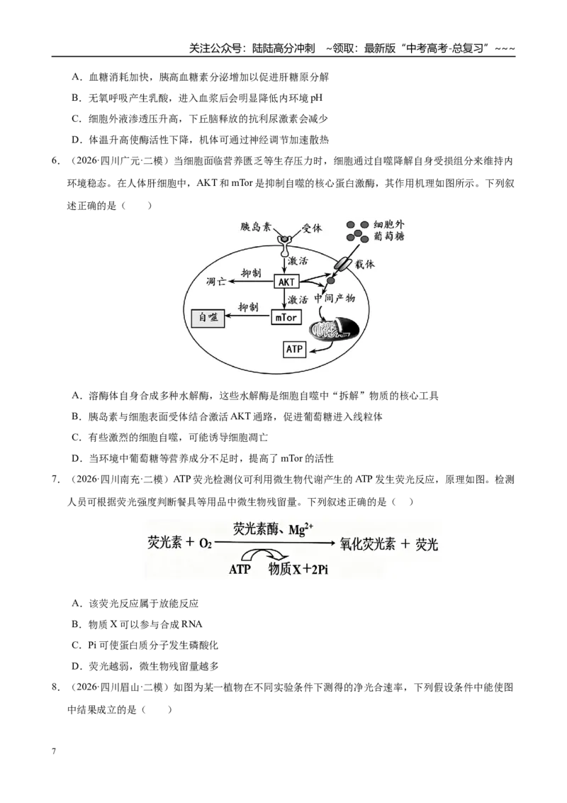 《专题02细胞的代谢（2大考点）（学生版）_06-生物-高考总复习_专项复习_2026年-生物高考专项复习_2026年高考生物二模试题分类汇编（四川专用）-G282_2026版》第7页预览