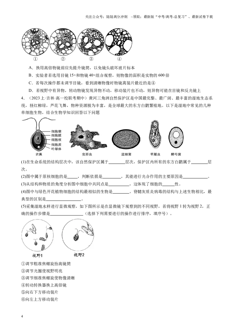 《专题01细胞的物质基础及结构相关实验（原卷版）_06-生物-高考总复习_专项复习_2024年_2024年高考生物教材实验梳理与突破实验攻略全国用_资料》第4页预览
