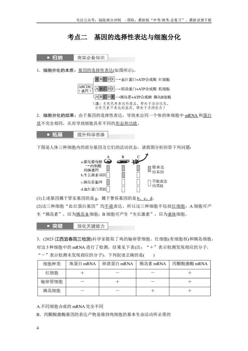 《2024年高考生物一轮复习（新人教版）第6单元　第4课时　基因表达与性状的关系_06-生物-高考总复习_一轮复习_2024年_2024高考生物大一轮复习课件讲义新人教版知识总结_教师版》第4页预览