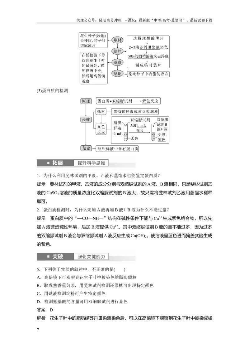 《2024年高考生物一轮复习（新人教版）第1单元　第4课时　核酸是遗传信息的携带者、有机物的鉴定_06-生物-高考总复习_一轮复习_2024年_2024高考生物大一轮复习课件讲义新人教版知识总结》第7页预览
