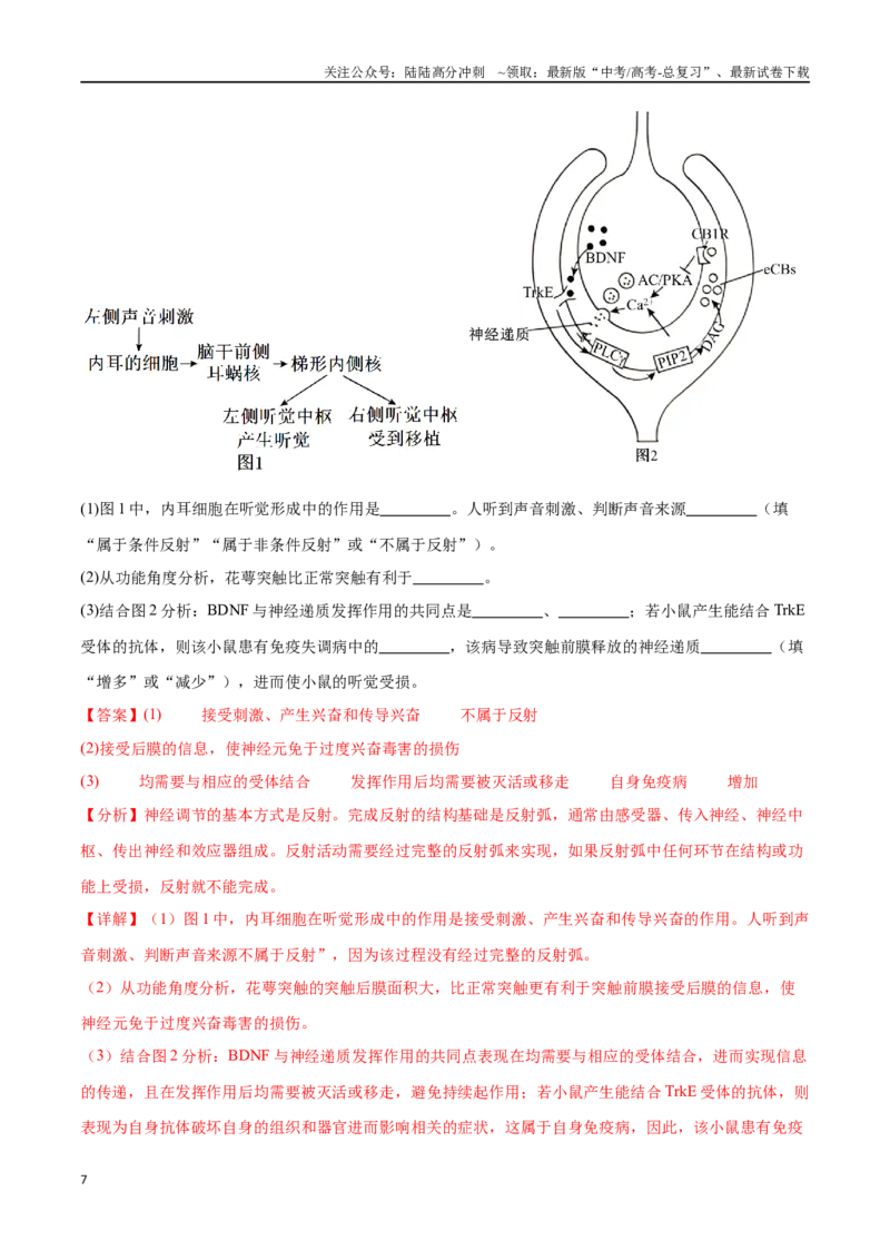 《专题02生命活动的调节（新高考通用）（解析版）_06-生物-高考总复习_专项复习_2024年_2024年高考生物考前大题秒杀技巧及专项训练_资料》第7页预览