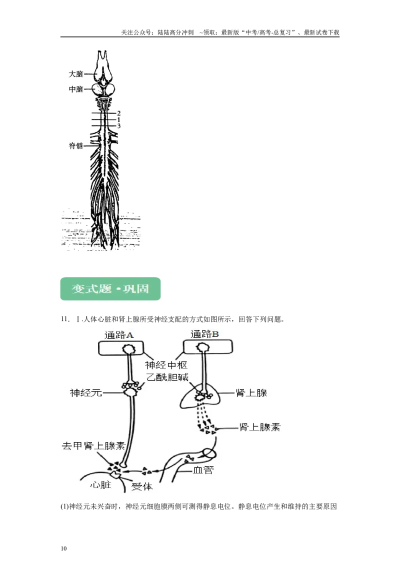 《2024年新课标高考生物真题黑龙江卷变式题22-23_06-生物-高考总复习_专项复习_2024年_2024年生物真题变式题》第10页预览