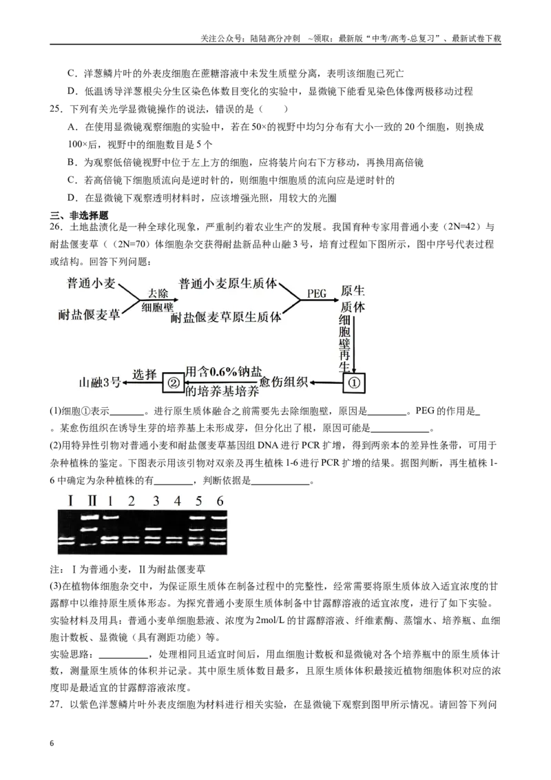 《专题02显微镜观察类实验(原卷版）_06-生物-高考总复习_专项复习_2024年_2024年高考生物实验专项训练_资料》第6页预览