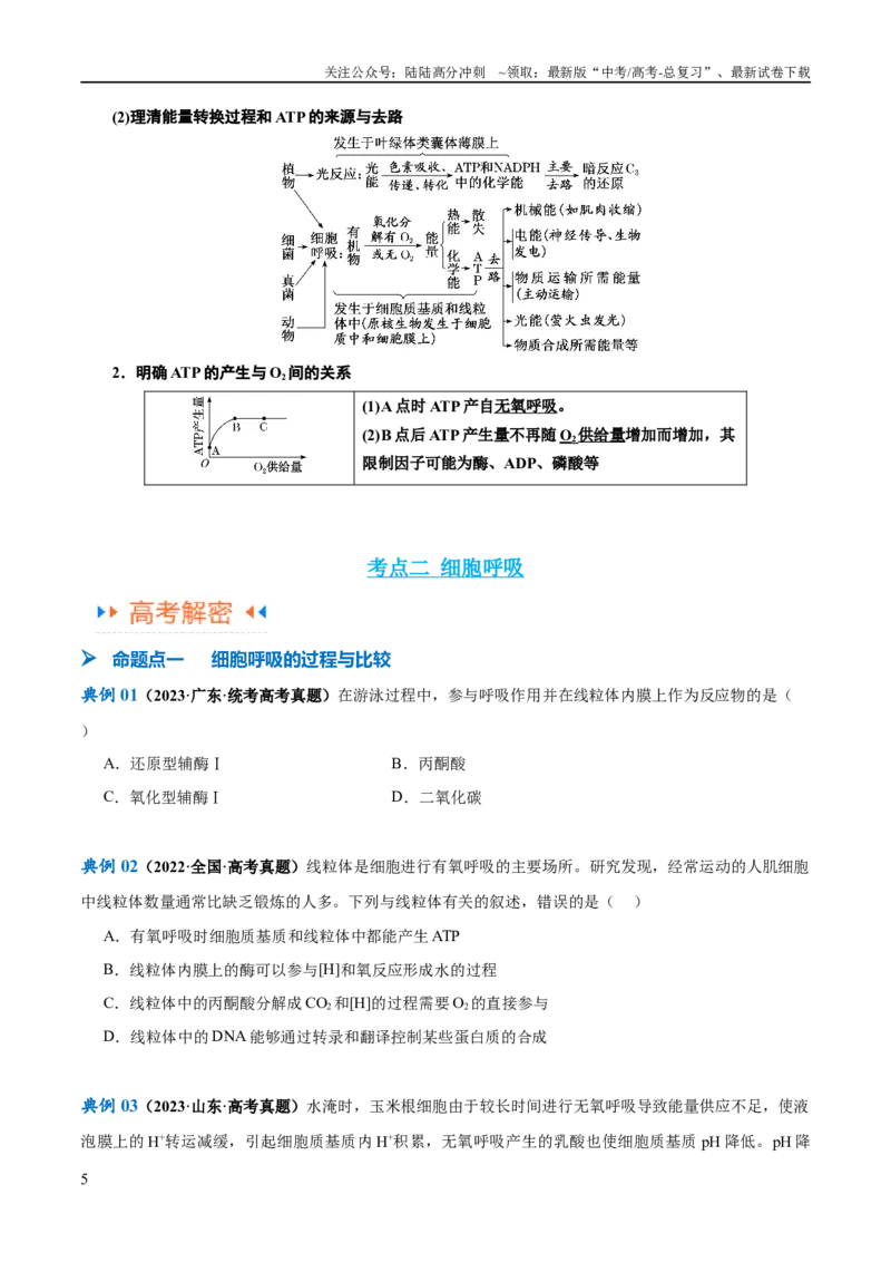 《专题02细胞的能量供应与利用（讲义）（原卷版）_06-生物-高考总复习_二轮复习_2024年_2024年高考生物二轮复习高频考点追踪与预测（新高考专用）_讲义》第5页预览