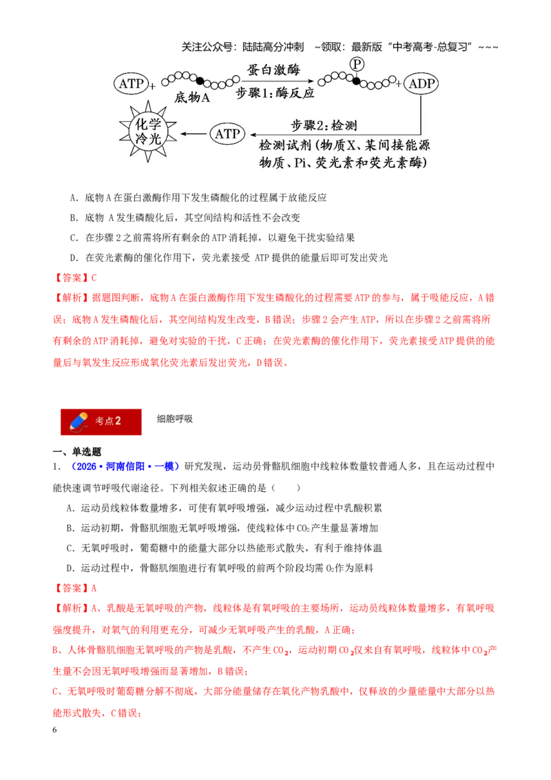 《专题02细胞代谢（教师版）_06-生物-高考总复习_专项复习_2026年-生物高考专项复习_2026年高考生物一模试题分类汇编（新高考通用）-G178_2026版》第6页预览