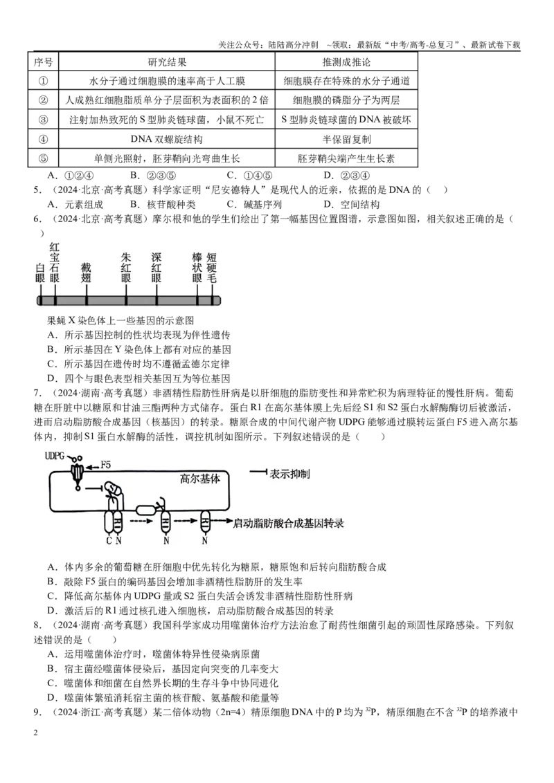 《专练05遗传的分子基础（50题）（学生版）_06-生物-高考总复习_专项复习_2024年_2024年新高考生物总复习高频考点必刷800题_2025版》第2页预览