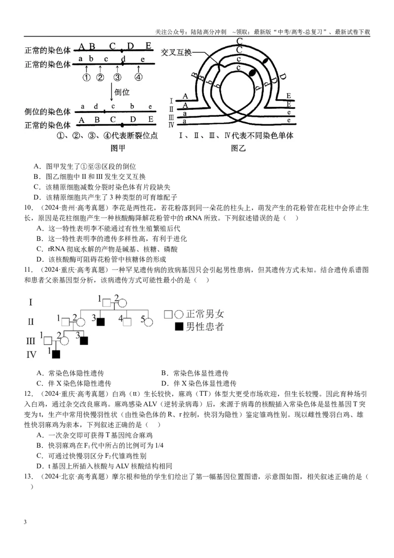 《专练04遗传规律（100题）（学生版）_06-生物-高考总复习_专项复习_2024年_2024年新高考生物总复习高频考点必刷800题_2025版》第3页预览