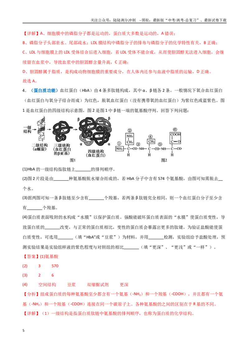 《专题01细胞的物质基础（解析版）_06-生物-高考总复习_专项复习_2025年_2025年高考生物重难点讲义专练（新高考通用）》第5页预览