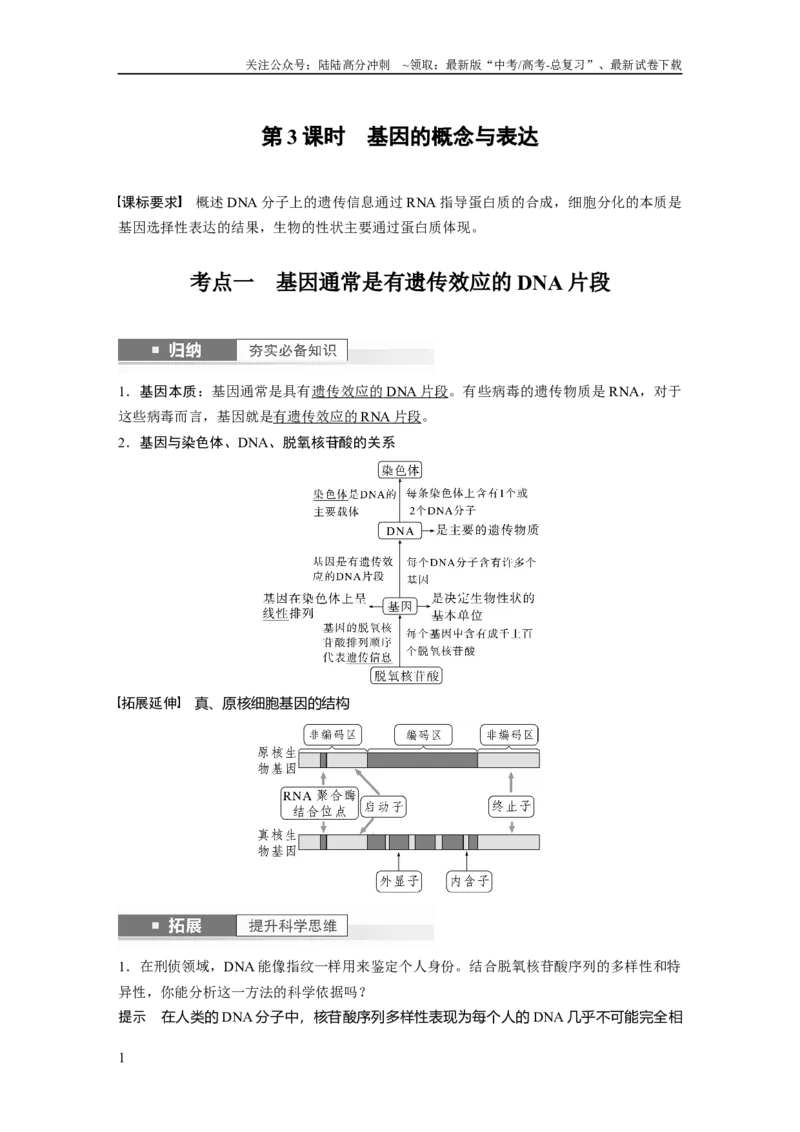 《2024年高考生物一轮复习（新人教版）第6单元　第3课时　基因的概念与表达_06-生物-高考总复习_一轮复习_2024年_2024高考生物大一轮复习课件讲义新人教版知识总结_教师版》第1页预览