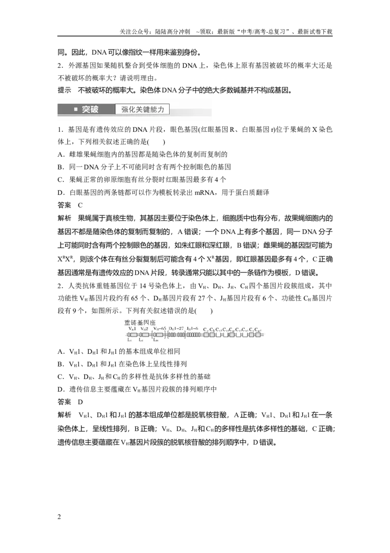 《2024年高考生物一轮复习（新人教版）第6单元　第3课时　基因的概念与表达_06-生物-高考总复习_一轮复习_2024年_2024高考生物大一轮复习课件讲义新人教版知识总结_教师版》第2页预览