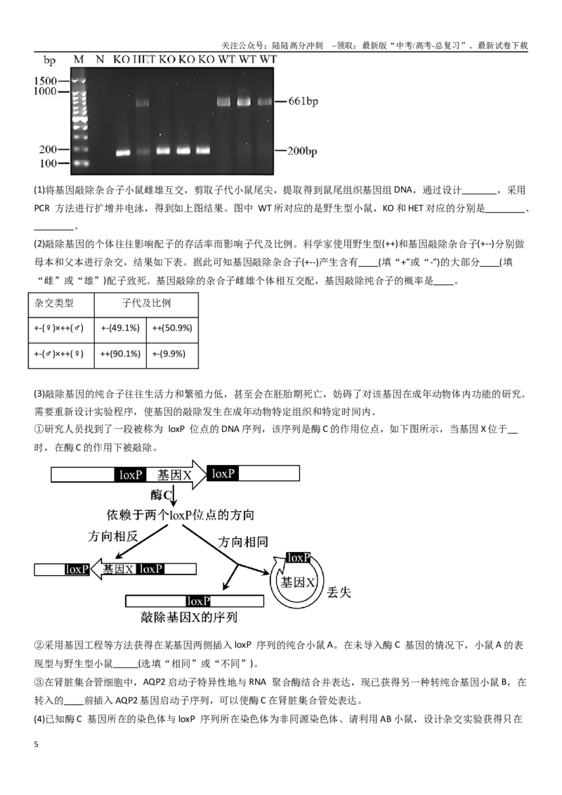 《专练16生物学热点题（20题）（教师版）_06-生物-高考总复习_专项复习_2024年_2024年新高考生物总复习高频考点必刷800题_2025版》第5页预览