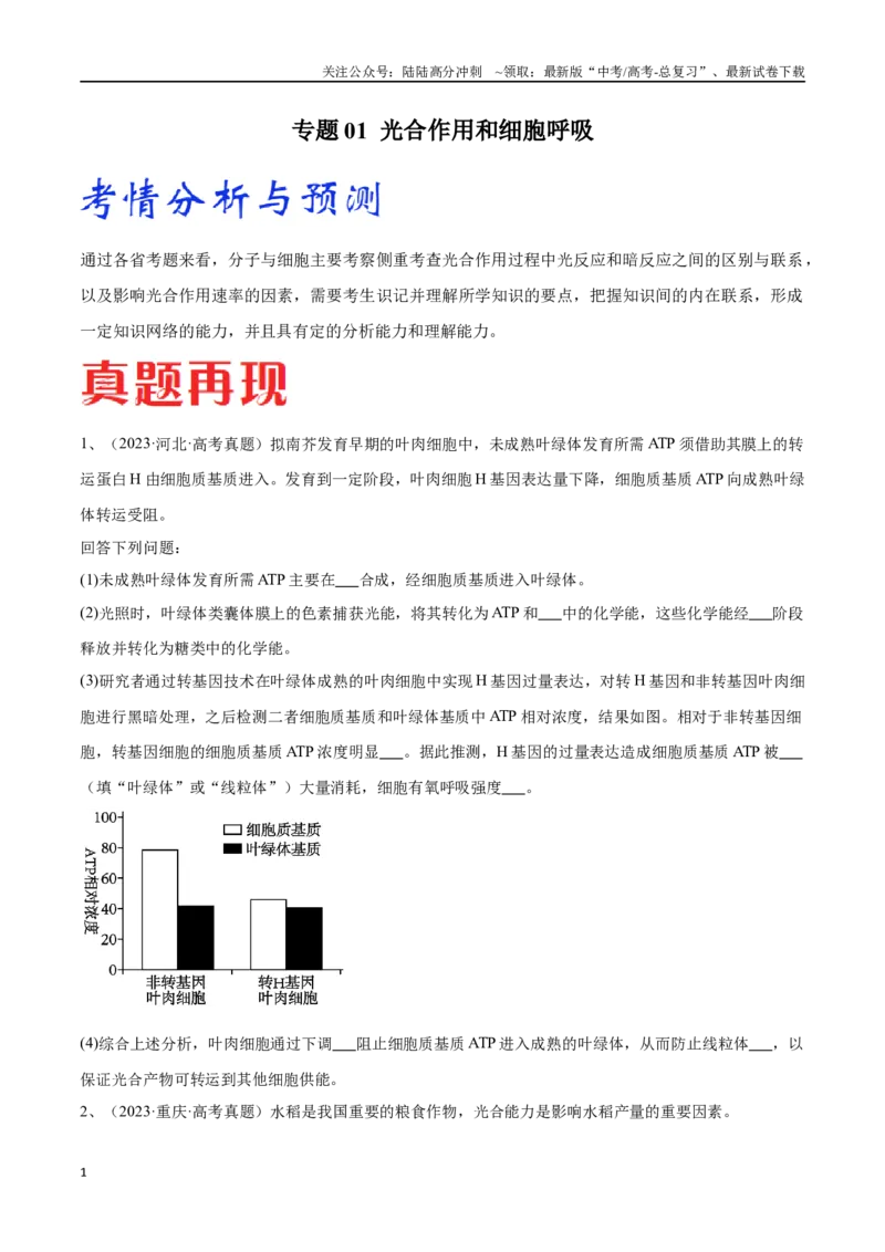 《专题01光合作用的应用（新高考通用）（原卷版）_06-生物-高考总复习_专项复习_2024年_2024年高考生物考前大题秒杀技巧及专项训练_资料》第1页预览