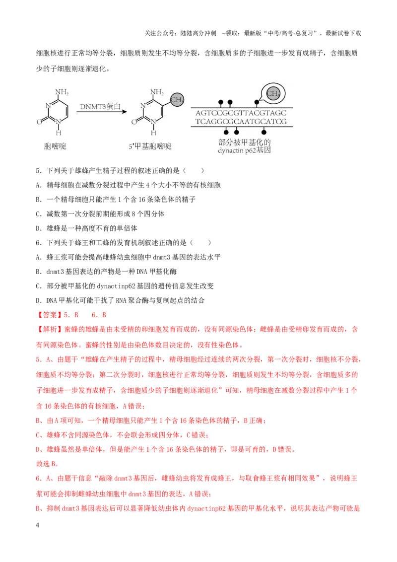 《2023年高考押题预测卷01—生物（全解全析）_06-生物-高考总复习_专项复习_2024年_2023年高考押题预测卷01生物》第4页预览