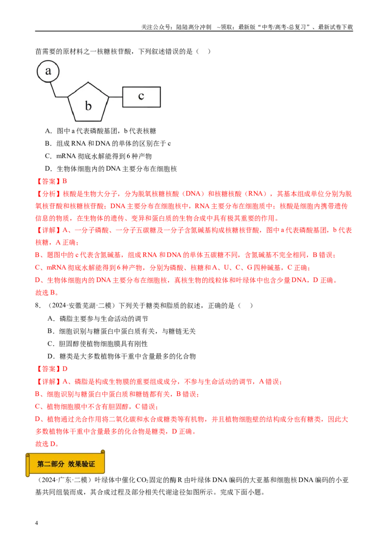 《专题01细胞的物质基础（解析版）_06-生物-高考总复习_专项复习_2025年_2024年高考二模试题分类汇编生物新高考通用》第4页预览