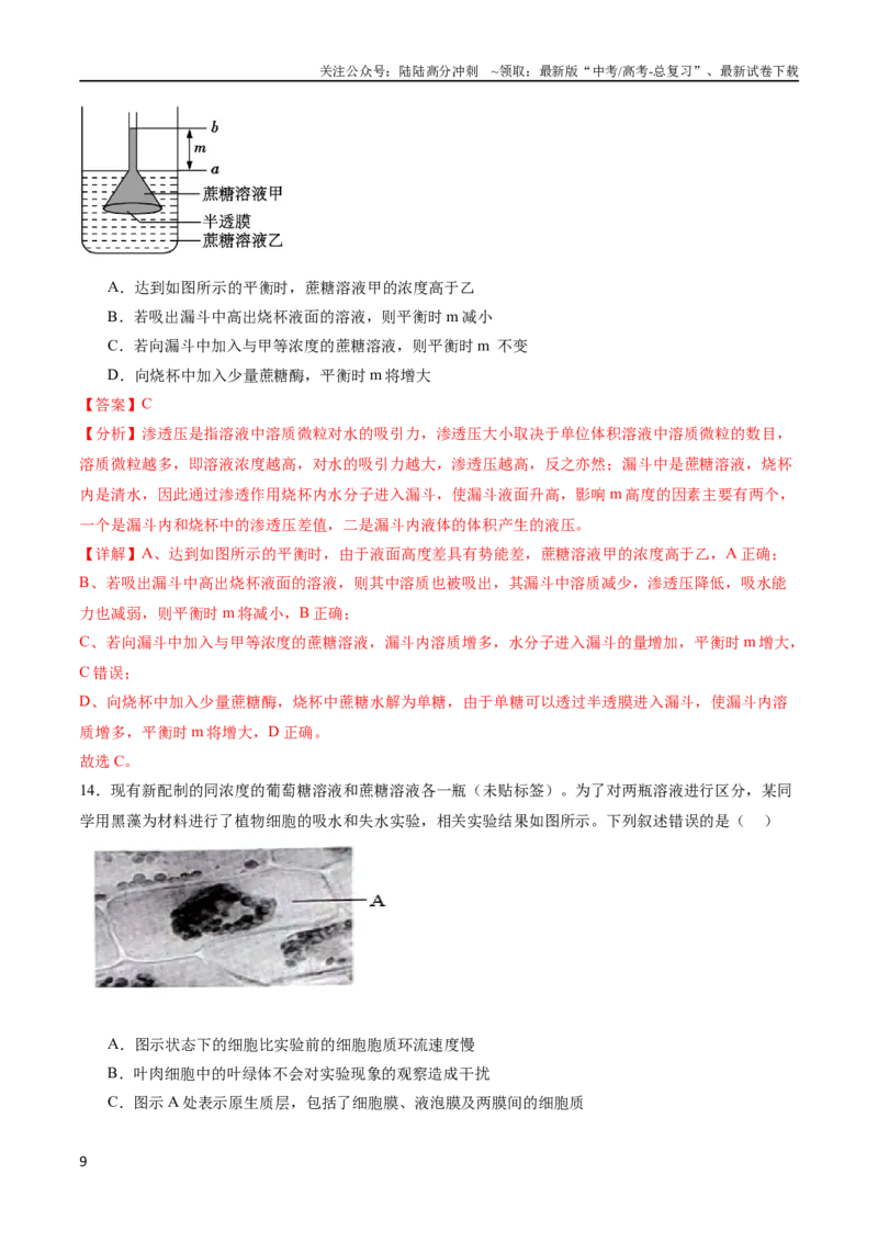 《专题02物质出入细胞的方式（选择题60道）（解析版）_06-生物-高考总复习_二轮复习_2024年_2024年高考生物二轮复习选择题大题压轴专项训练_资料》第9页预览