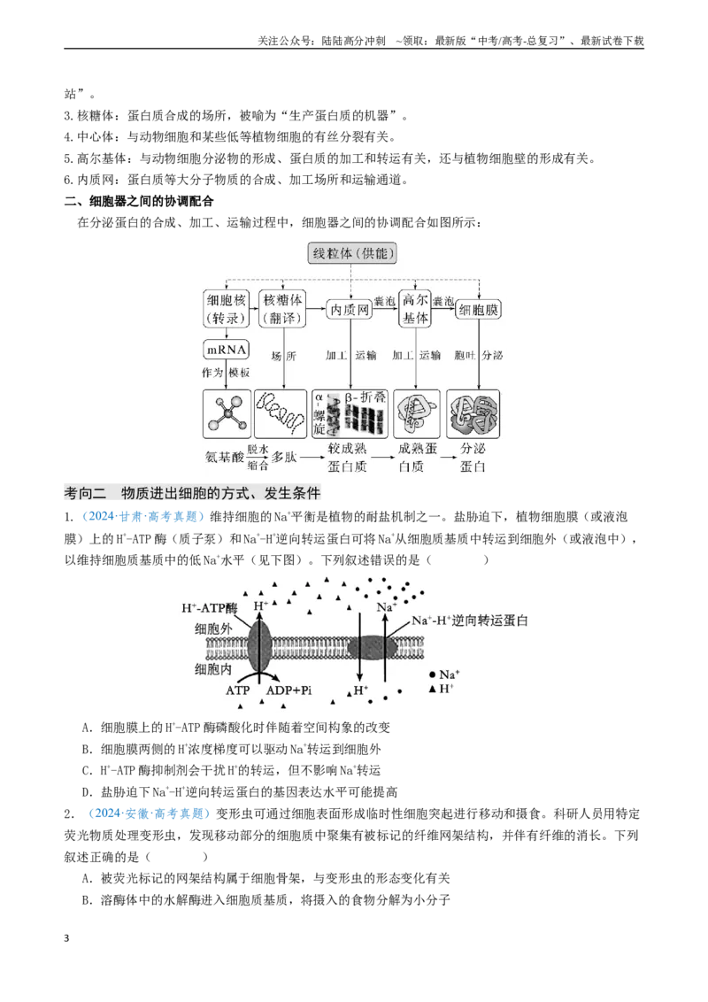 《专题02细胞的结构、功能及物质运输-（新高考通用）（学生版）_06-生物-高考总复习_专项复习_2025年_2025年高考生物真题题源解密（新高考通用）》第3页预览
