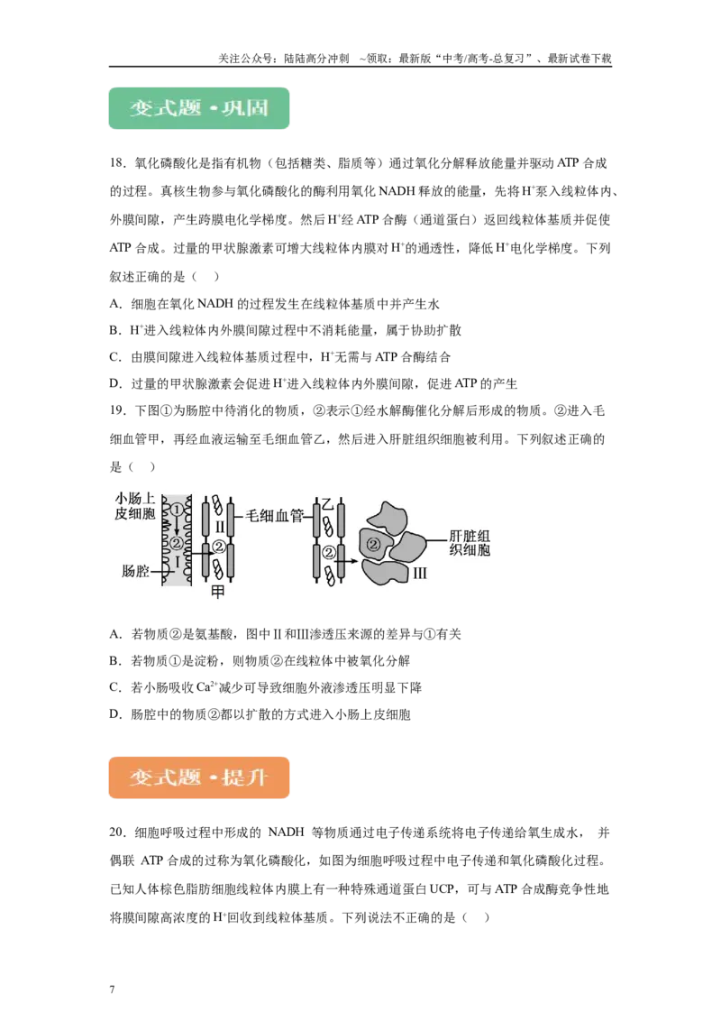 《2024年新课标高考真题湖北卷生物变式题7-9_06-生物-高考总复习_专项复习_2024年_2024年生物真题变式题》第7页预览
