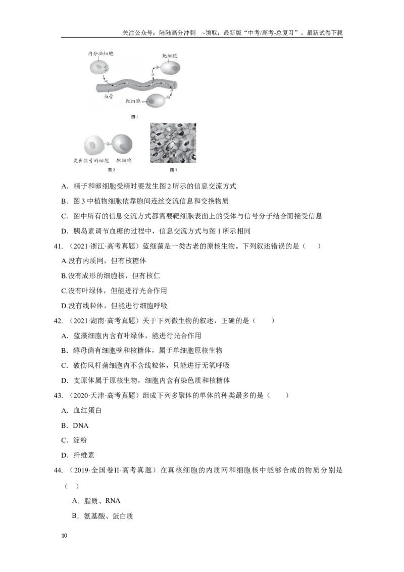 《01细胞的分子组成与结构（单选100）（原卷版）_06-生物-高考总复习_专项复习_2024年_2024年高考生物学总复习高频考点必刷900题高考题_资料》第10页预览