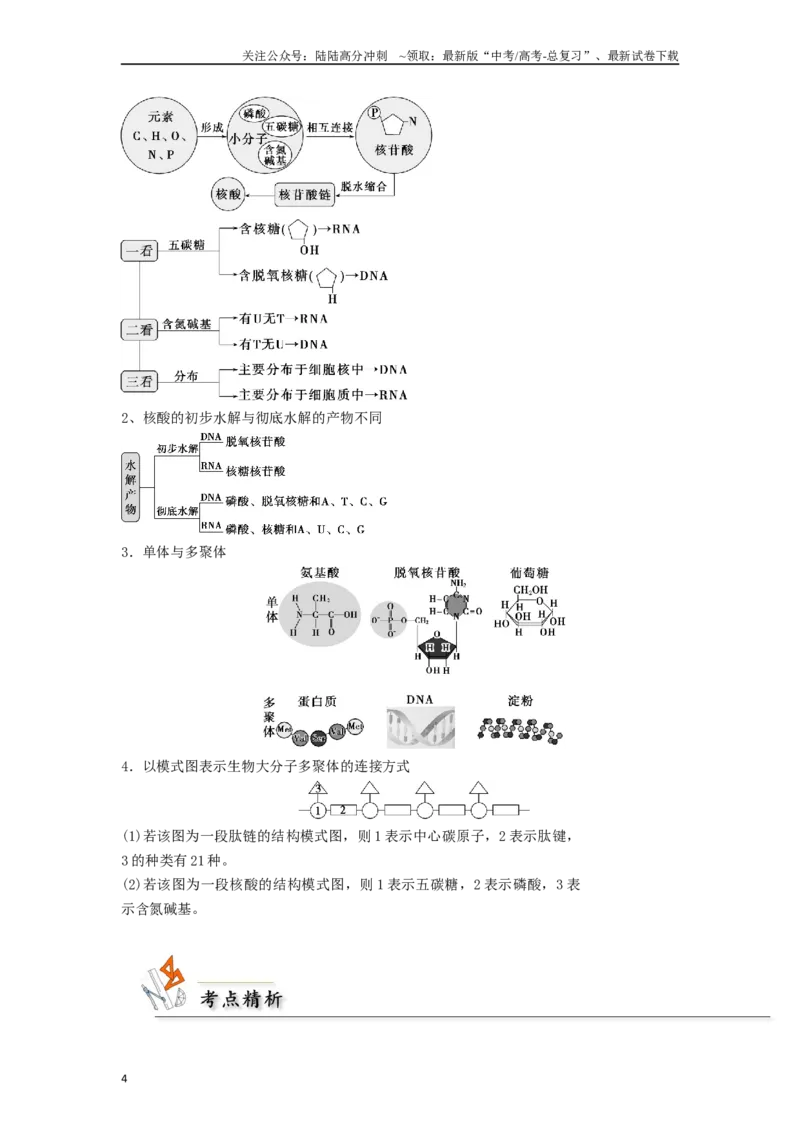 《专题01组成细胞的分子（原卷版）_06-生物-高考总复习_二轮复习_2024年_2024年高考生物二轮复习考点归纳与解题策略新高考_资料》第4页预览