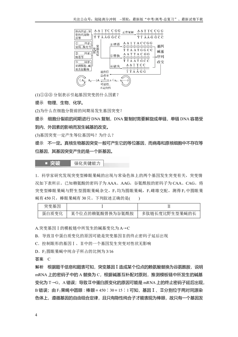 《2024年高考生物一轮复习（新人教版）第7单元　第1课时　基因突变与基因重组_06-生物-高考总复习_一轮复习_2024年_2024高考生物大一轮复习课件讲义新人教版知识总结_教师版》第4页预览