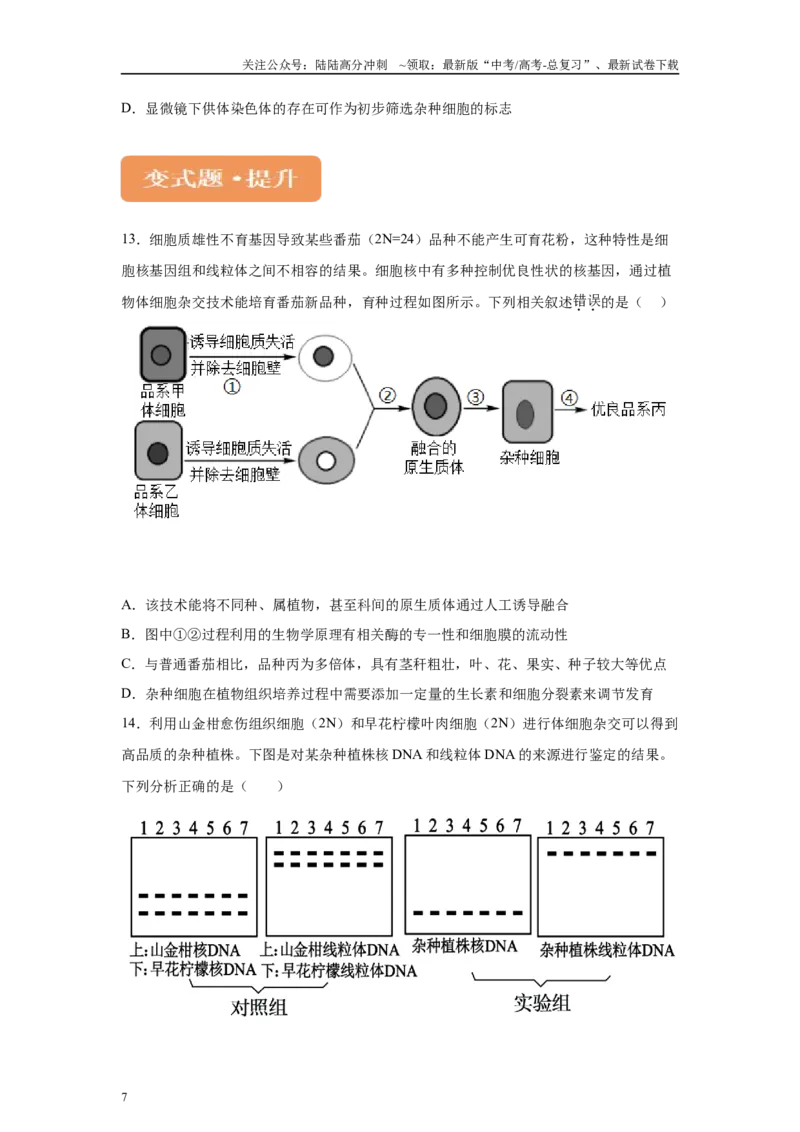 《2024年新课标高考真题湖北卷生物变式题10-12_06-生物-高考总复习_专项复习_2024年_2024年生物真题变式题》第7页预览