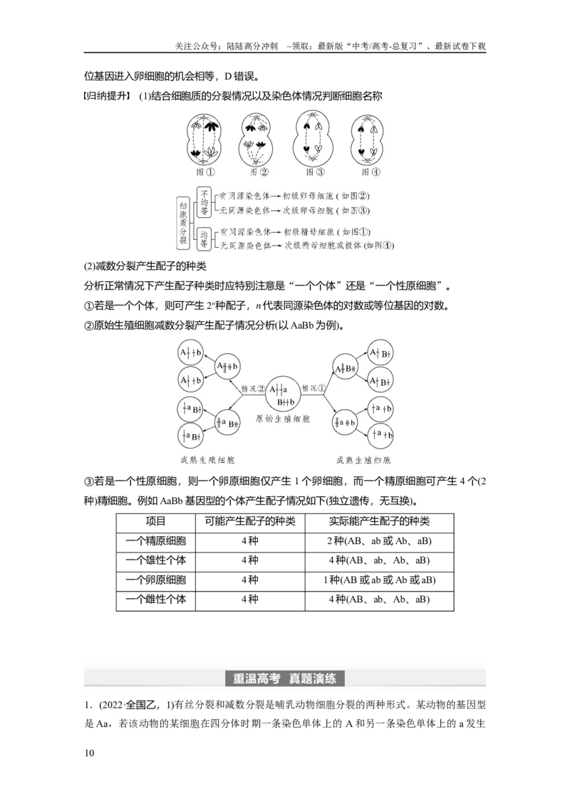 《2024年高考生物一轮复习（新人教版）第4单元　第3课时　减数分裂和受精作用_06-生物-高考总复习_一轮复习_2024年_2024高考生物大一轮复习课件讲义新人教版知识总结_教师版》第10页预览