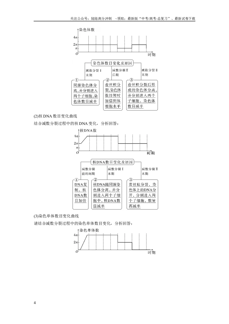 《2024年高考生物一轮复习（新人教版）第4单元　第3课时　减数分裂和受精作用_06-生物-高考总复习_一轮复习_2024年_2024高考生物大一轮复习课件讲义新人教版知识总结_教师版》第4页预览