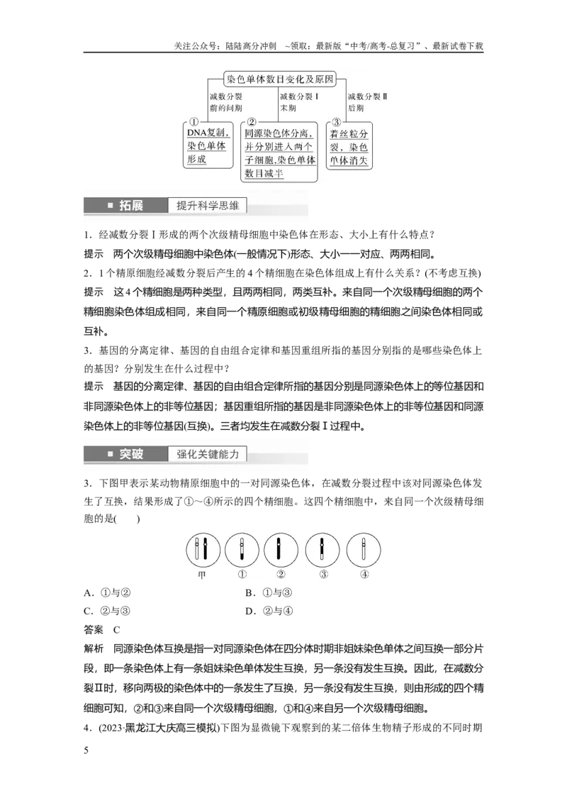 《2024年高考生物一轮复习（新人教版）第4单元　第3课时　减数分裂和受精作用_06-生物-高考总复习_一轮复习_2024年_2024高考生物大一轮复习课件讲义新人教版知识总结_教师版》第5页预览