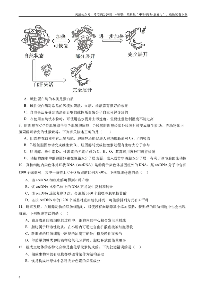 《专题01细胞的分子组成（原卷版）_06-生物-高考总复习_专项复习_2024年_2024年新高考生物复习热点考点真题模拟题必刷题练_资料》第8页预览