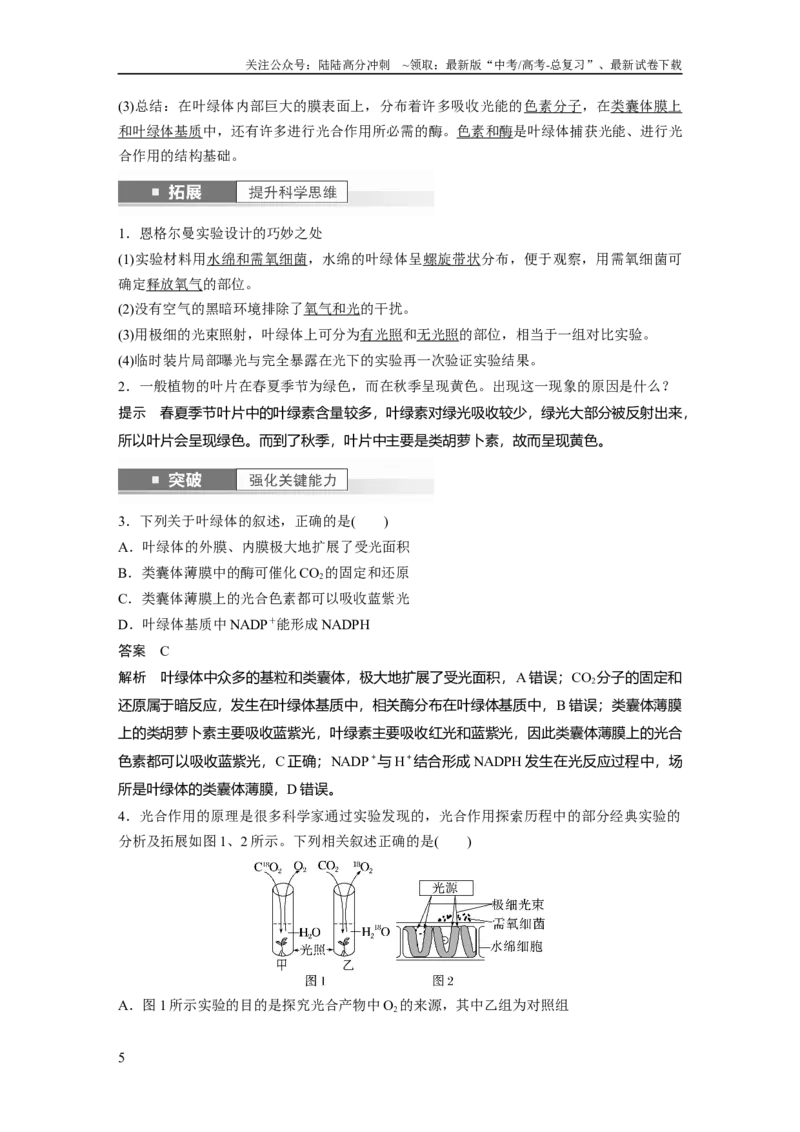 《2024年高考生物一轮复习（新人教版）第3单元　第5课时　捕获光能的色素和结构及光合作用的原理_06-生物-高考总复习_一轮复习_2024年_2024高考生物大一轮复习课件讲义新人教版知识总结》第5页预览