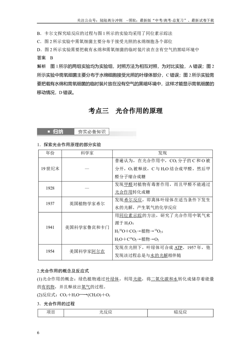 《2024年高考生物一轮复习（新人教版）第3单元　第5课时　捕获光能的色素和结构及光合作用的原理_06-生物-高考总复习_一轮复习_2024年_2024高考生物大一轮复习课件讲义新人教版知识总结》第6页预览