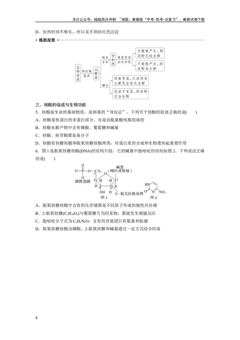 《大单元五　第十四章　第66讲　生物大分子　合成高分子_05-化学-高考总复习_一轮复习_2025年_2025年大一轮复习讲义人教版化学_资料_1-资料_大一轮复习讲义学生专用_一轮复习讲义》第4页预览