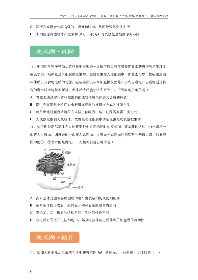 《2024年新课标高考生物真题黑龙江卷变式题10-12_06-生物-高考总复习_专项复习_2024年_2024年生物真题变式题》第9页预览