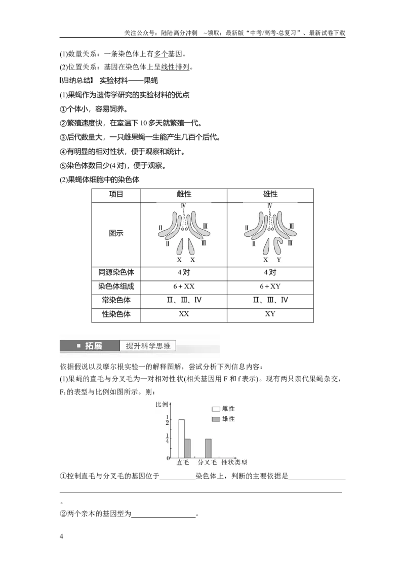 《2024年高考生物一轮复习（新人教版）第5单元　第7课时　基因在染色体上的假说与证据_06-生物-高考总复习_一轮复习_2024年_2024高考生物大一轮复习课件讲义新人教版知识总结_教师版》第4页预览