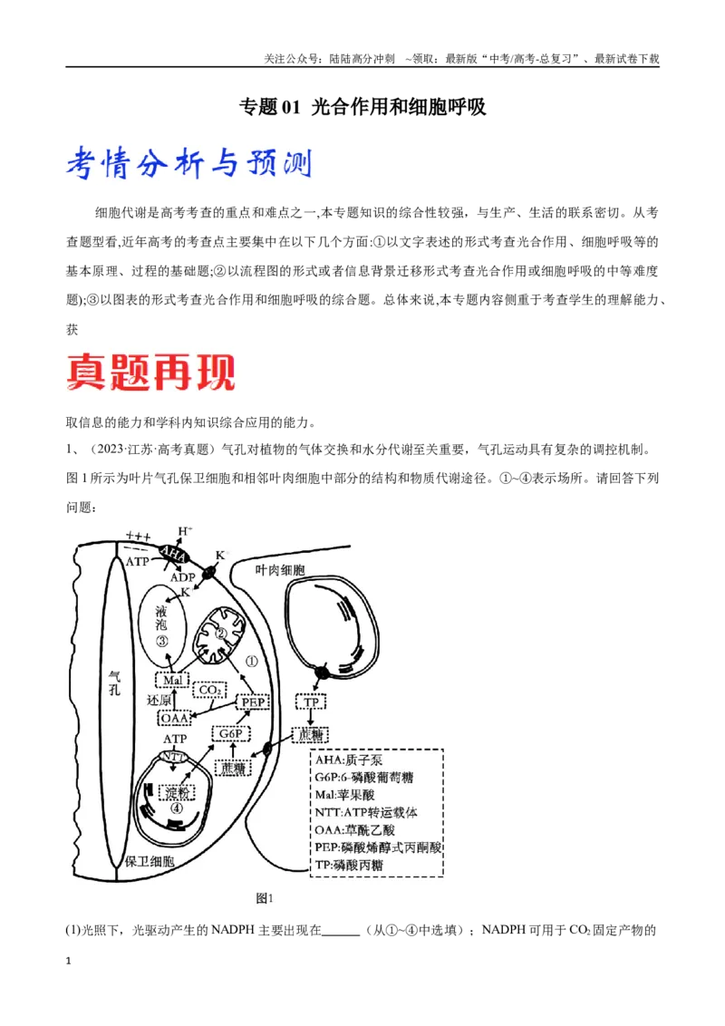 《专题01光合作用和细胞呼吸（原卷版）_06-生物-高考总复习_专项复习_2024年_2024年高考生物考前大题秒杀技巧及专项训练_资料》第1页预览