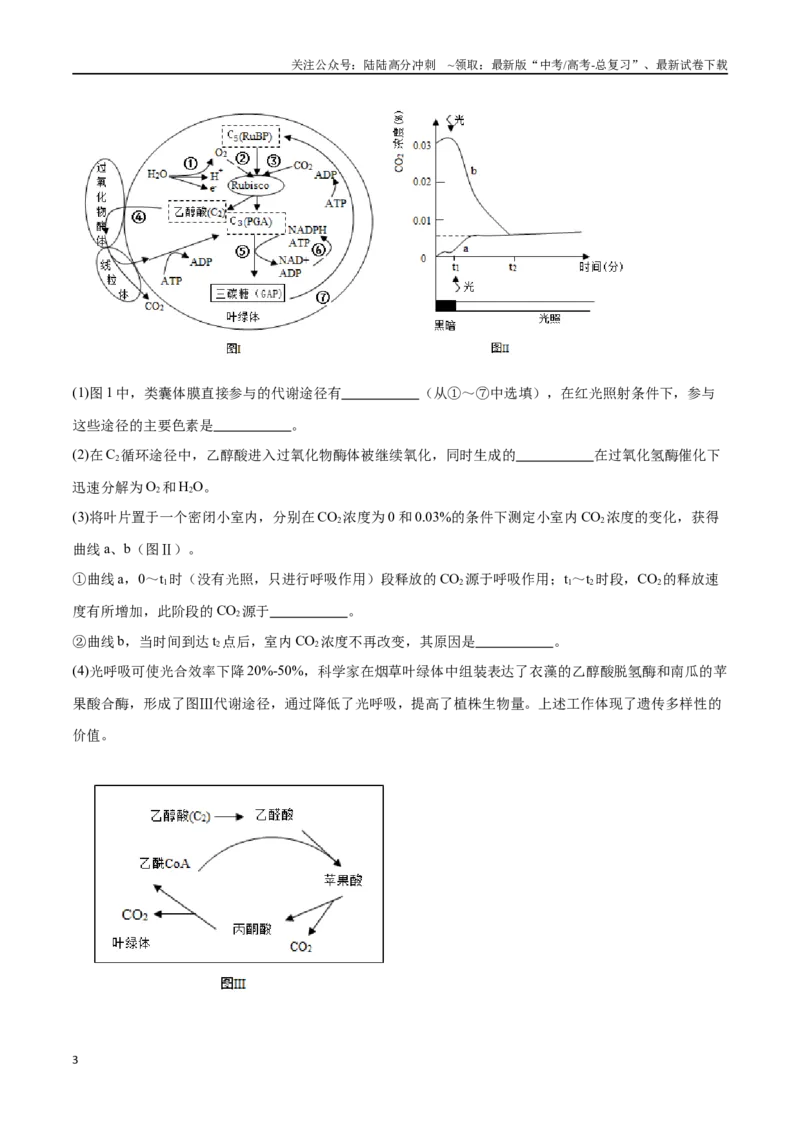《专题01光合作用和细胞呼吸（原卷版）_06-生物-高考总复习_专项复习_2024年_2024年高考生物考前大题秒杀技巧及专项训练_资料》第3页预览