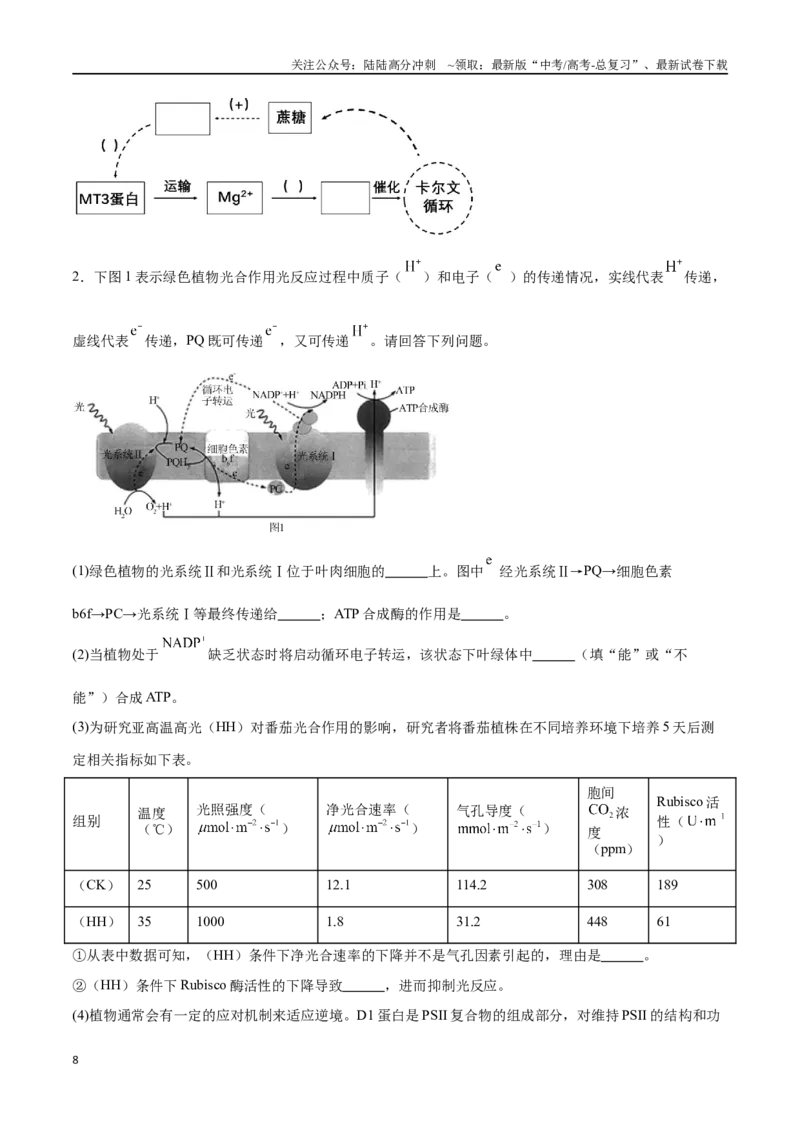 《专题01光合作用和细胞呼吸（原卷版）_06-生物-高考总复习_专项复习_2024年_2024年高考生物考前大题秒杀技巧及专项训练_资料》第8页预览