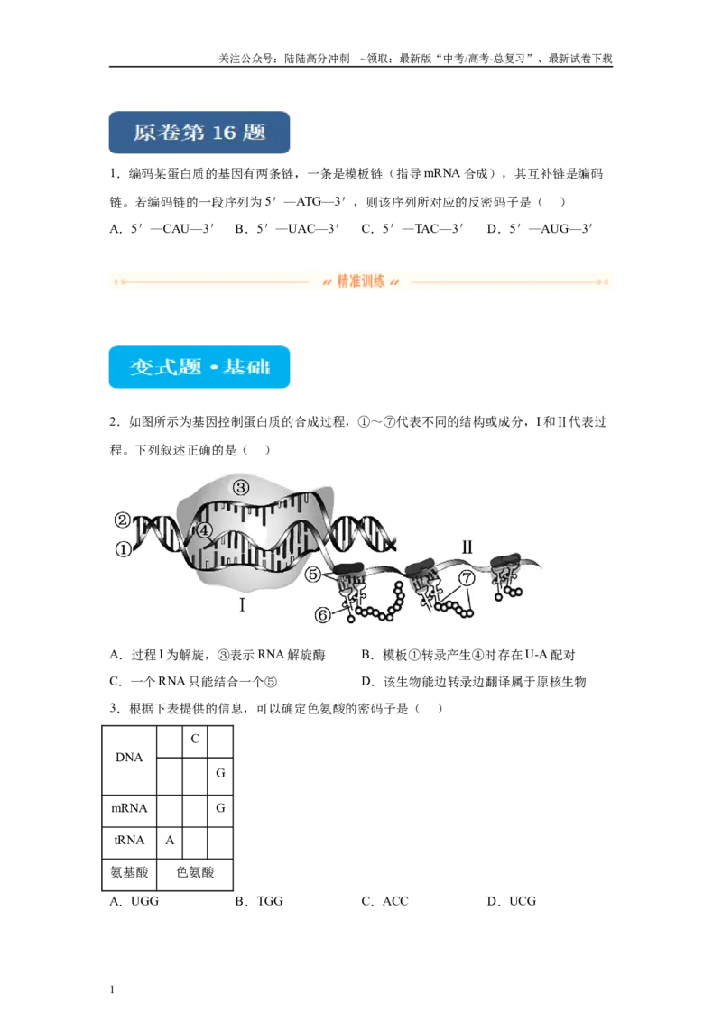 《2024年新课标高考真题湖北卷生物变式题16-18_06-生物-高考总复习_专项复习_2024年_2024年生物真题变式题》第1页预览