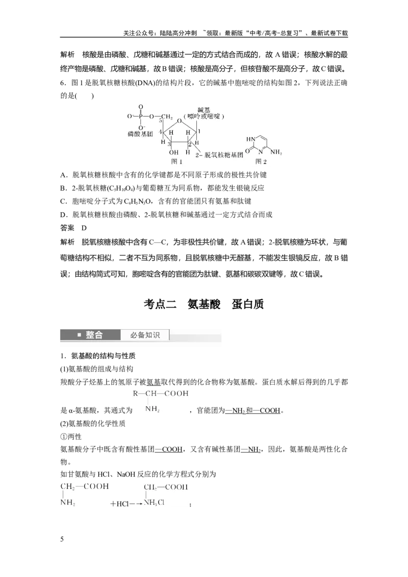 《大单元五　第十四章　第66讲　生物大分子　合成高分子_05-化学-高考总复习_一轮复习_2025年_2025年大一轮复习讲义人教版化学_资料_1-资料_大一轮复习讲义教师专用》第5页预览