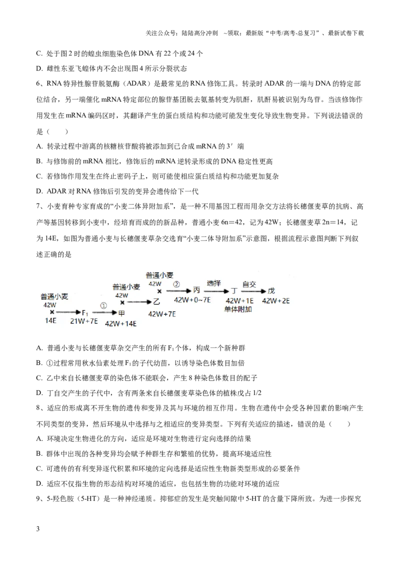 《2023年高考押题预测卷03（江苏卷）-生物（考试版）_06-生物-高考总复习_专项复习_2024年_2023年高考押题预测卷01生物》第3页预览