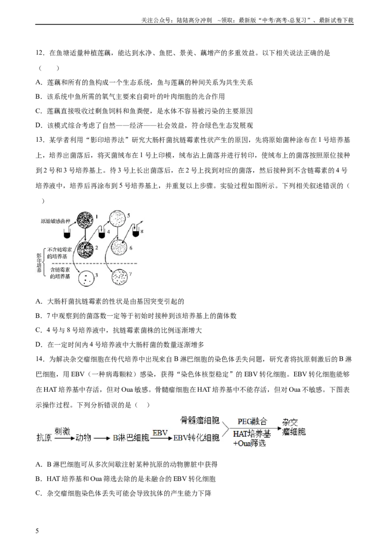 《2023年高考押题预测卷02—生物（考试版）_06-生物-高考总复习_专项复习_2024年_2023年高考押题预测卷01生物》第5页预览